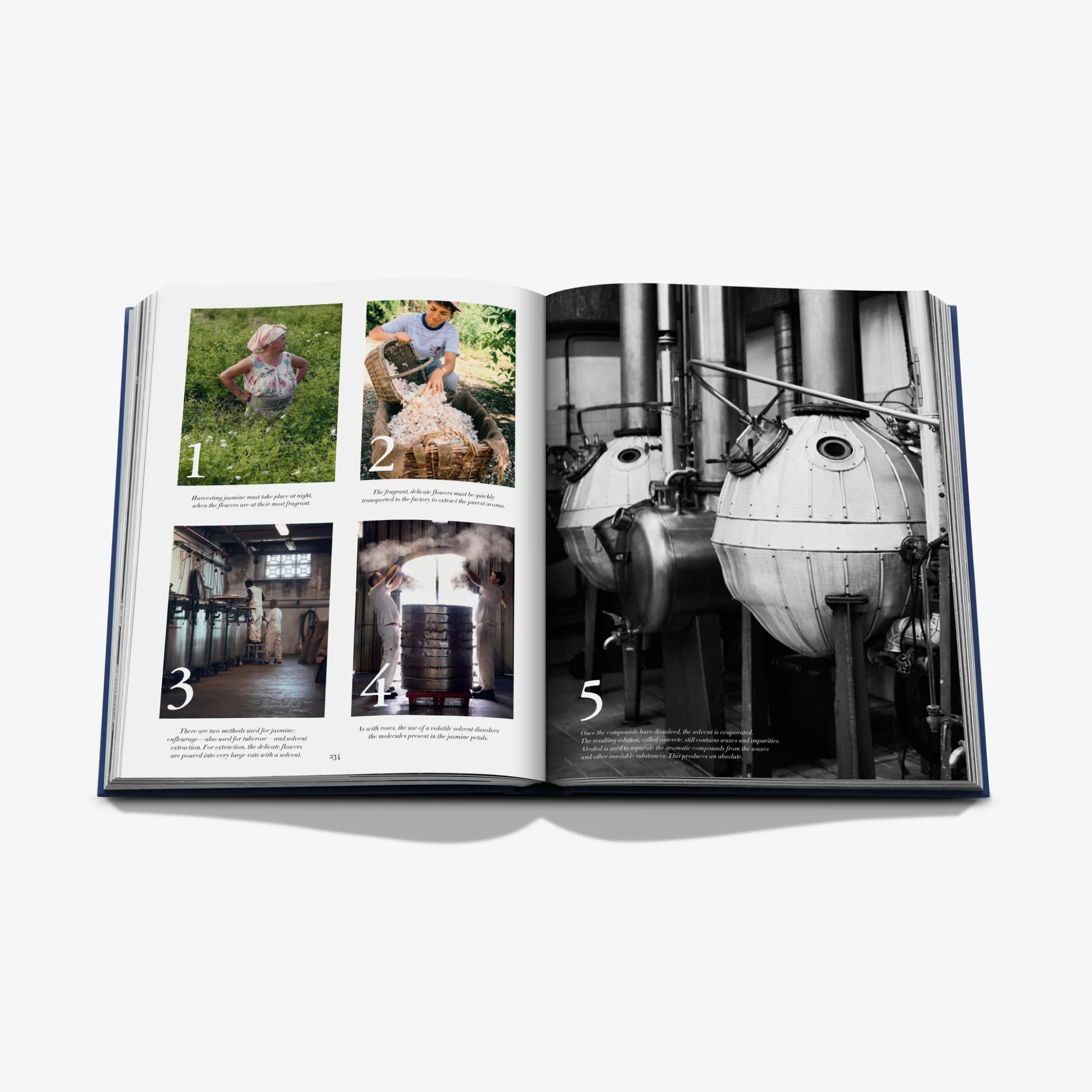 Robertet: From Seed to Scent