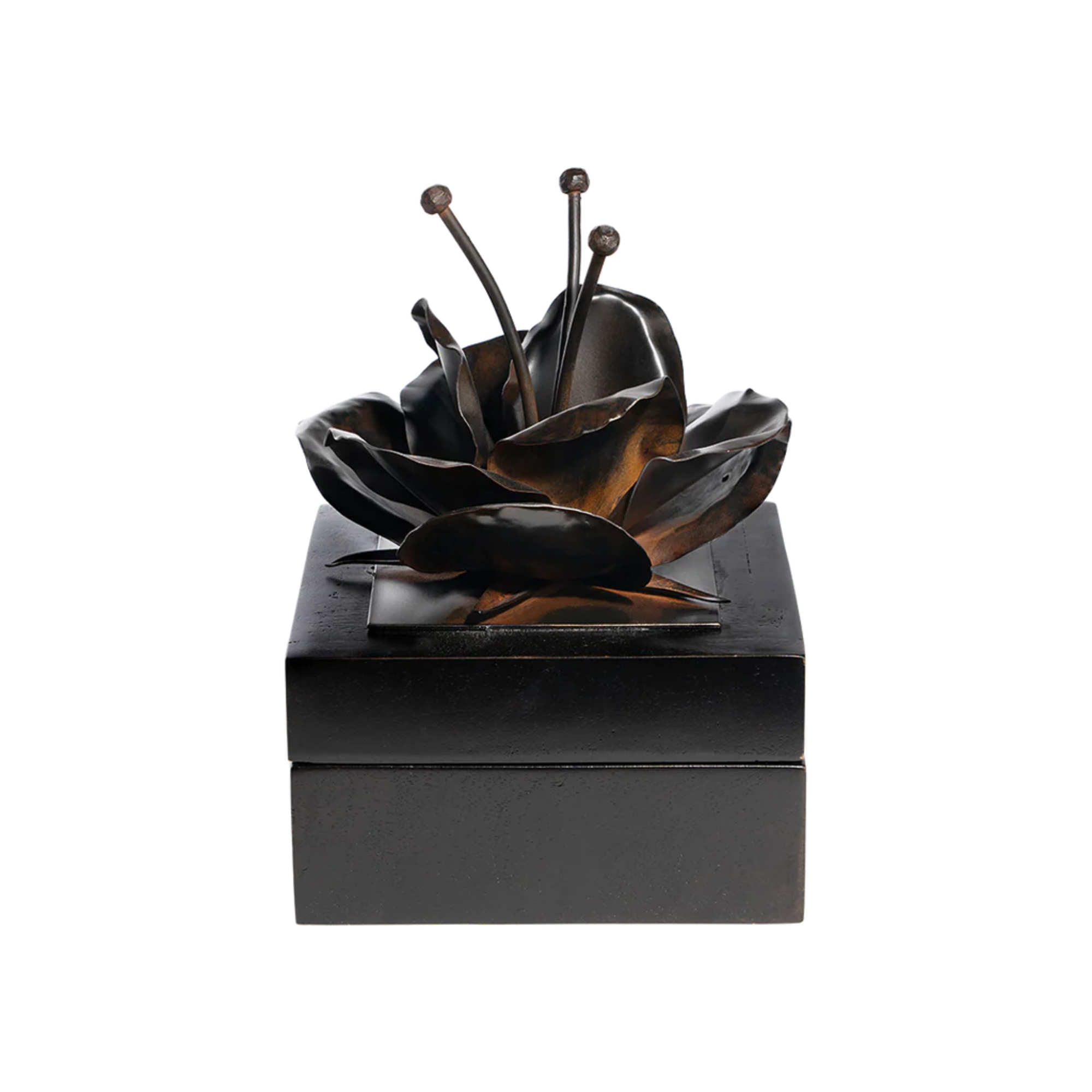 Valentina Box