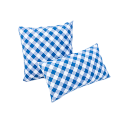 Gingham Pillow - Set of 2