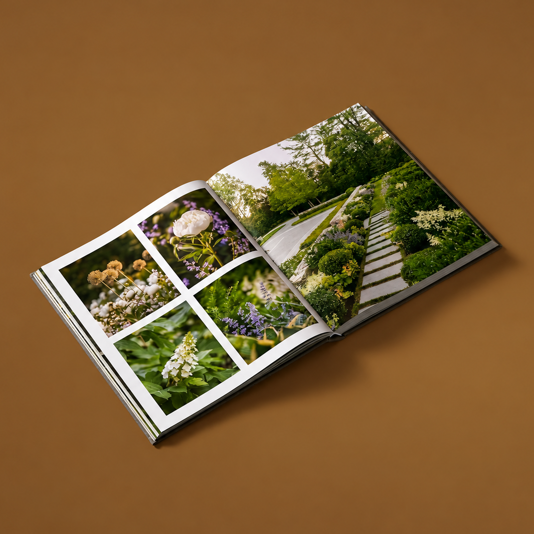 Reflections of Place: Dan Gordon Landscape Architects