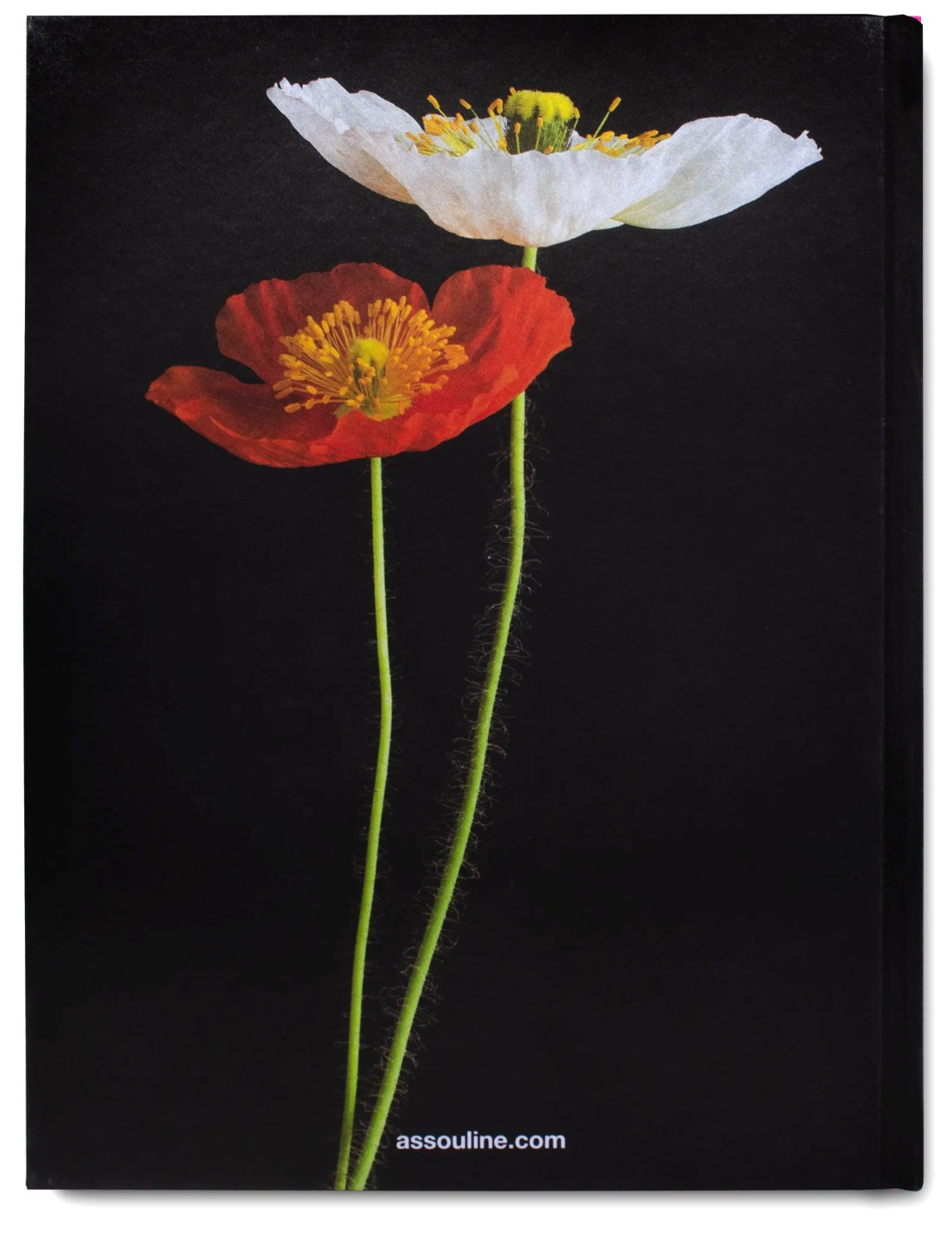 Flowers: Art & Bouquets