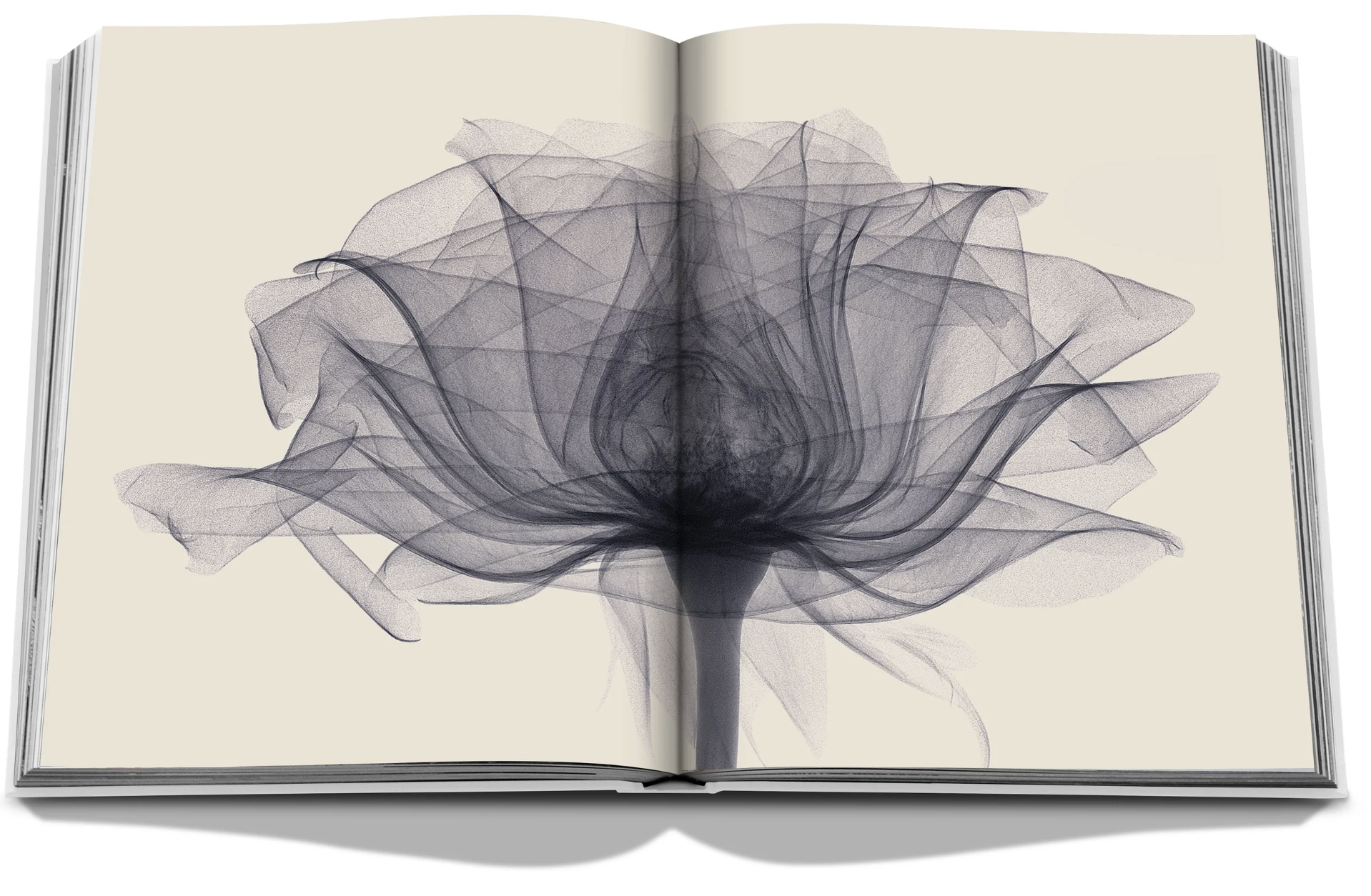 Flowers: Art & Bouquets