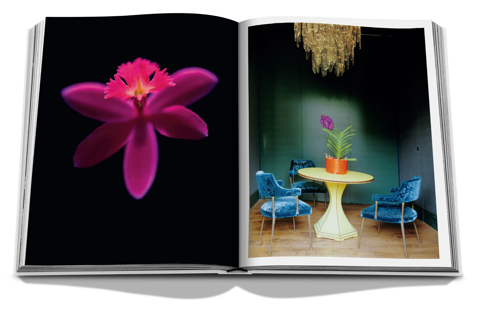 Flowers: Art & Bouquets