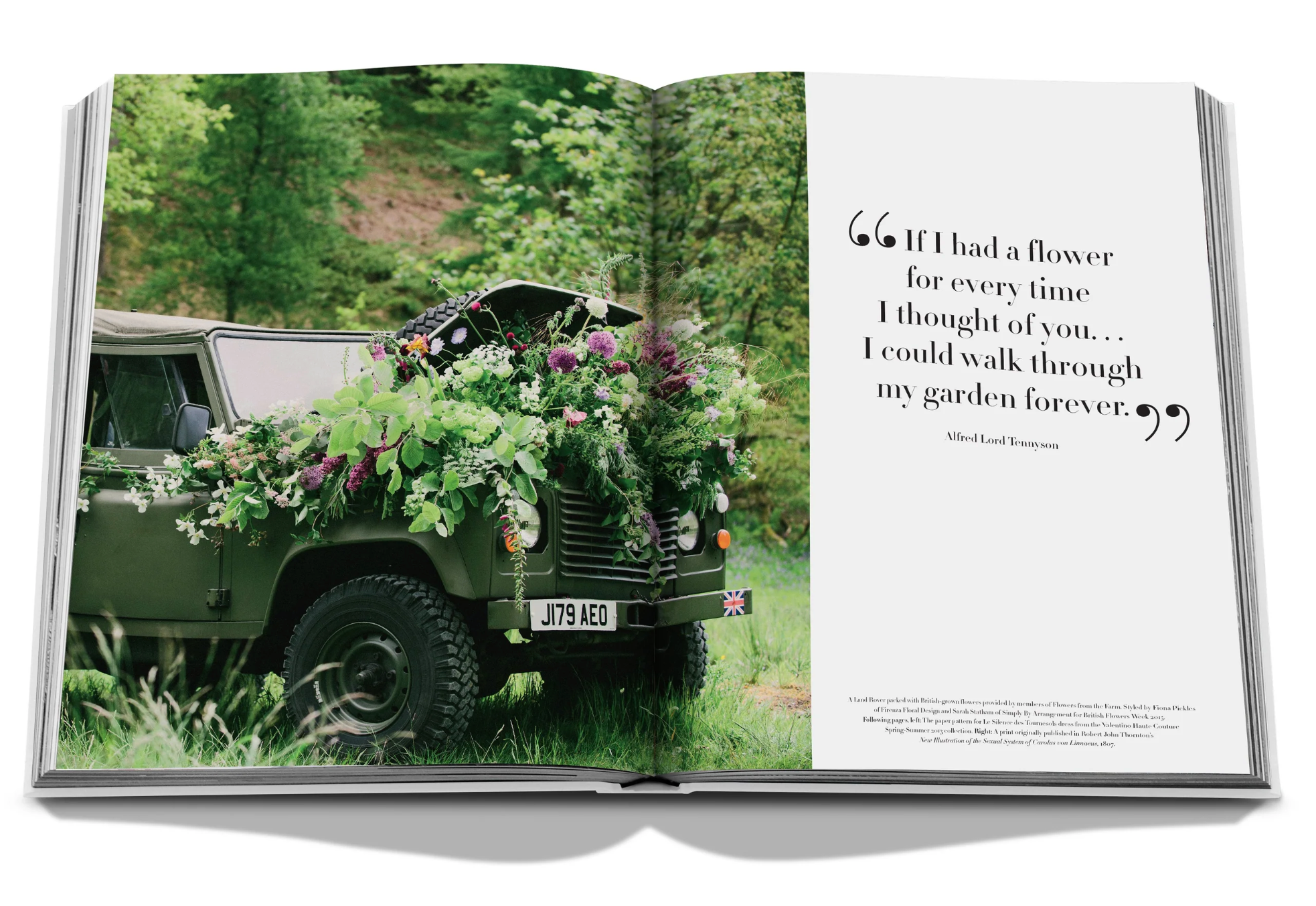 Flowers: Art & Bouquets