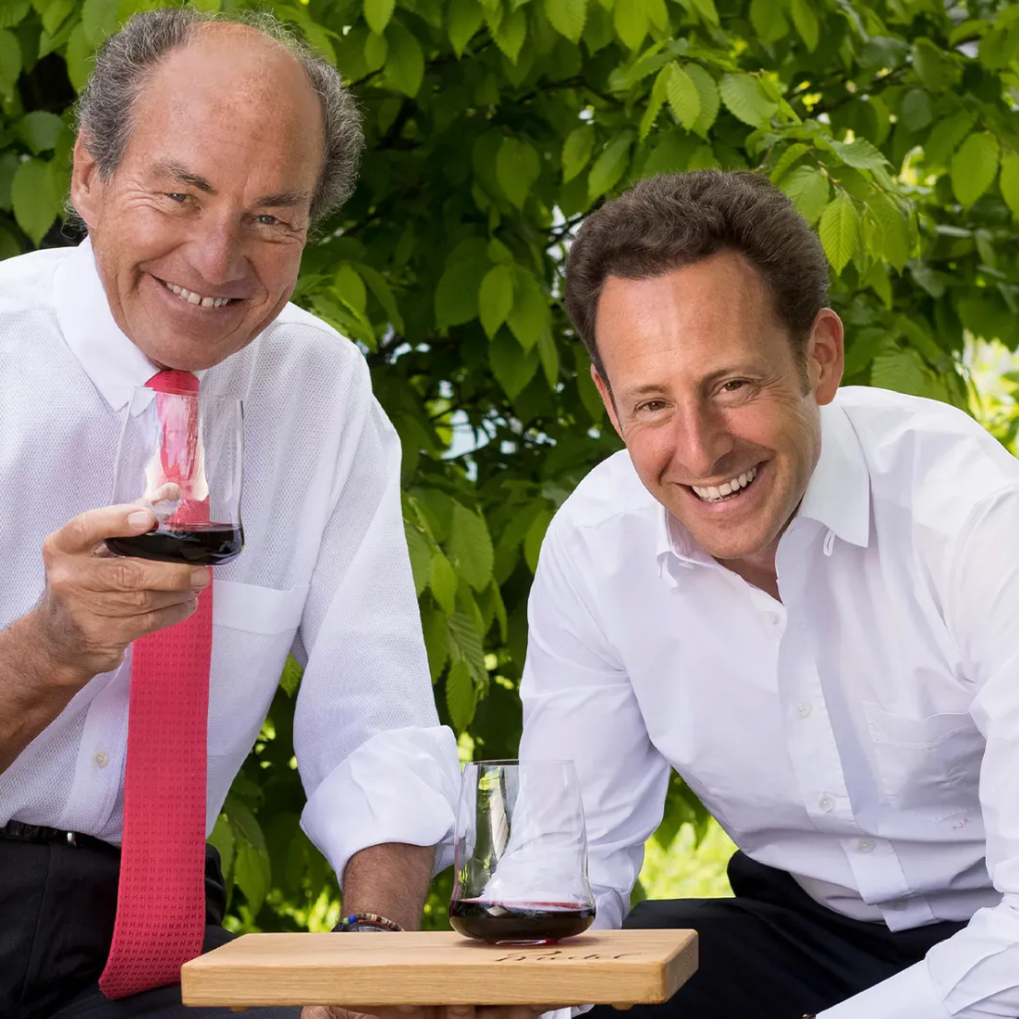 Stemless Wings Cabernet/Merlot + Decanter