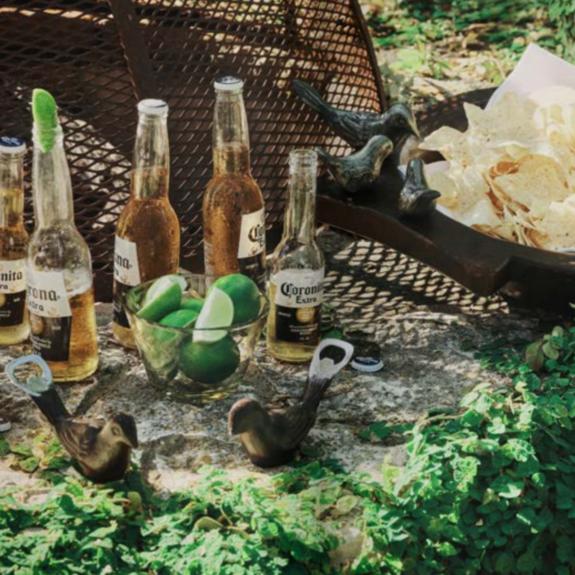 Paloma Bottle Opener