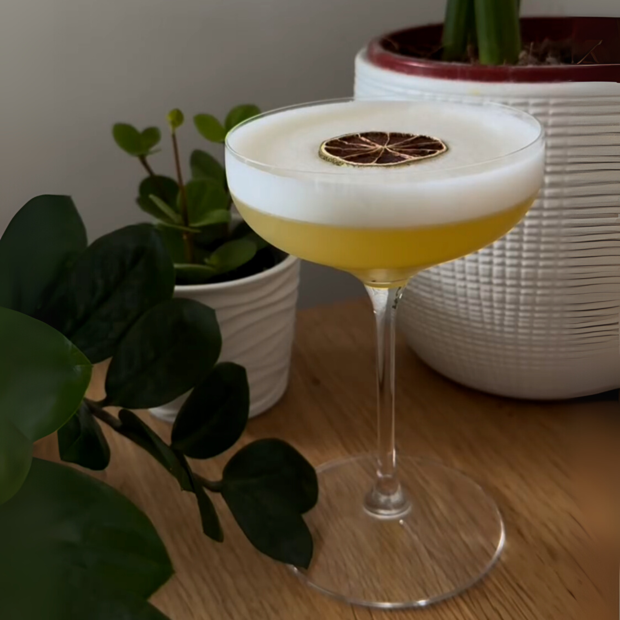 Grape Coupe/Cocktail Glasses & Everyday Coupetails Book