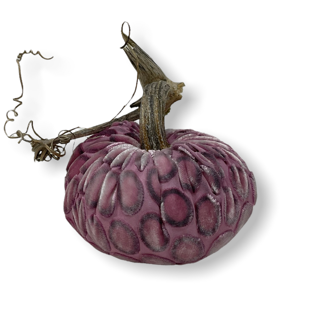 Ko Azalea Dot Pumpkin