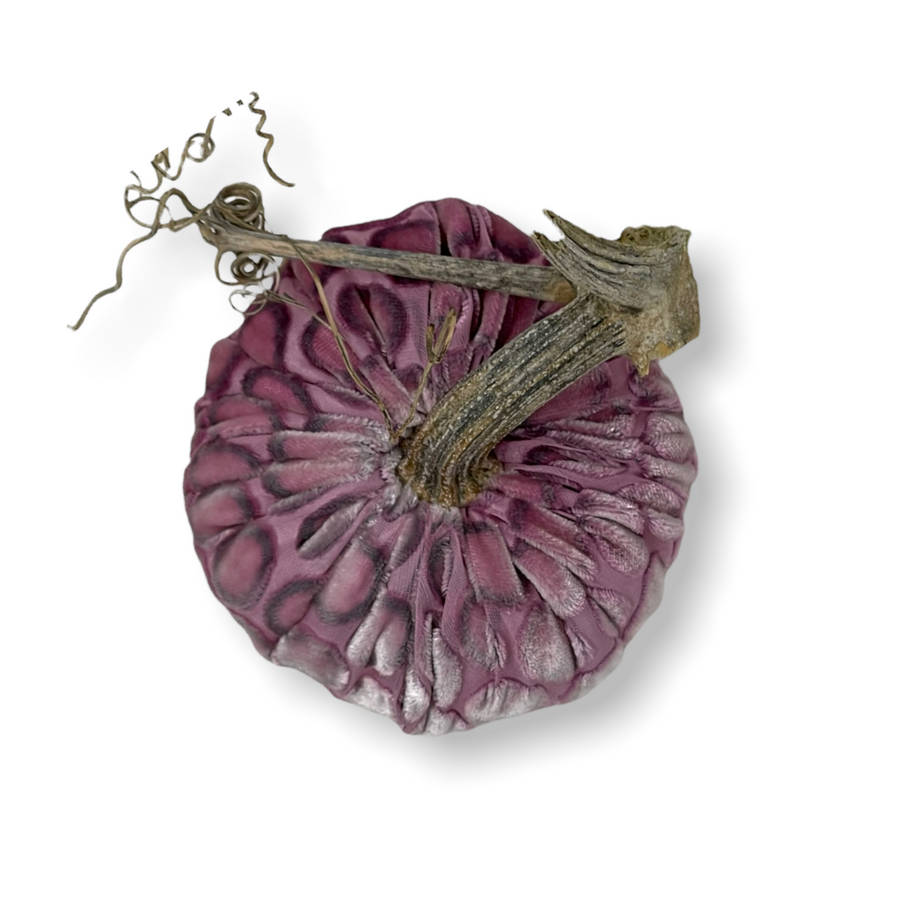 Ko Azalea Dot Pumpkin