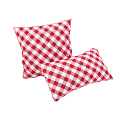 Gingham Pillow - Set of 2