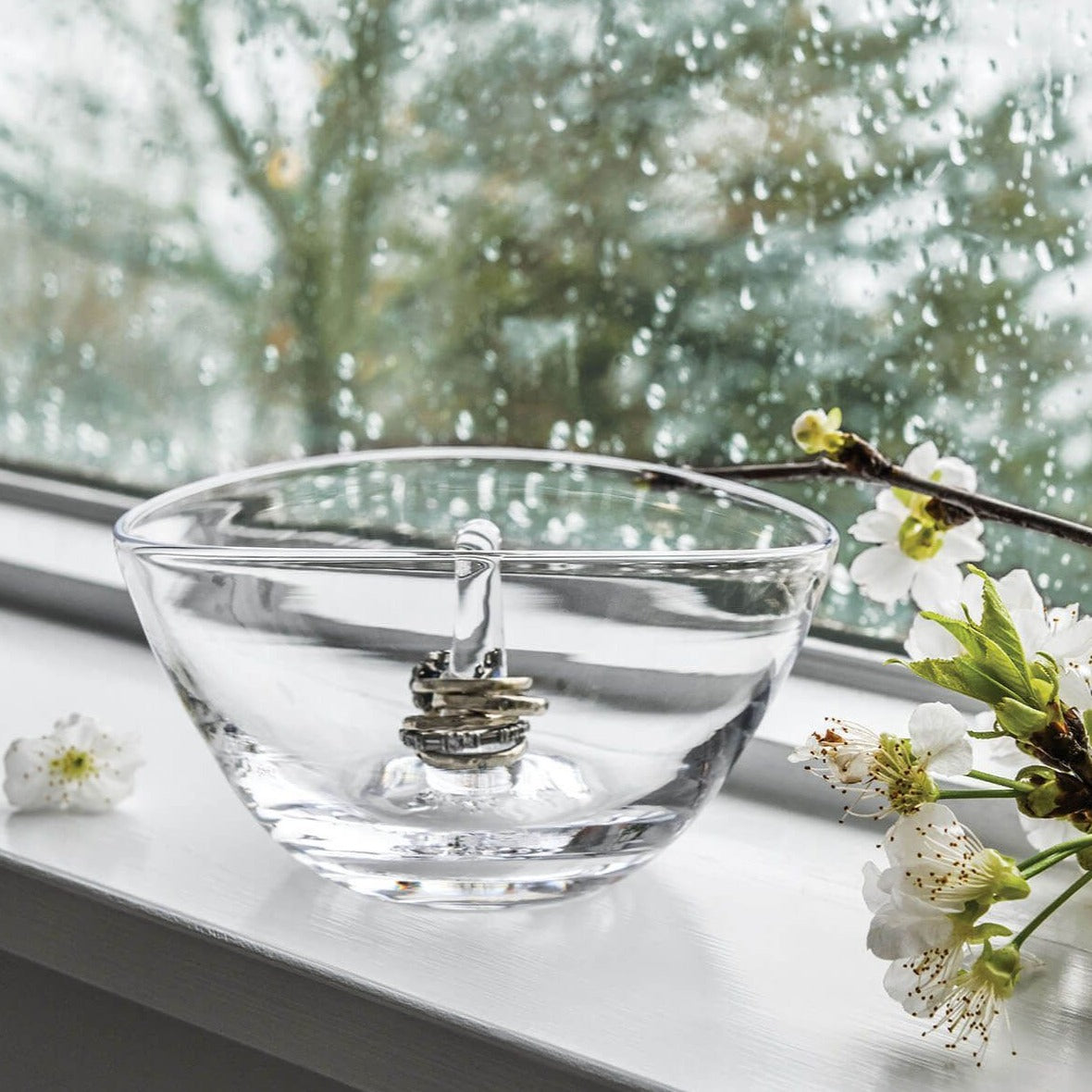 Champlain Ring Holder in Gift Box