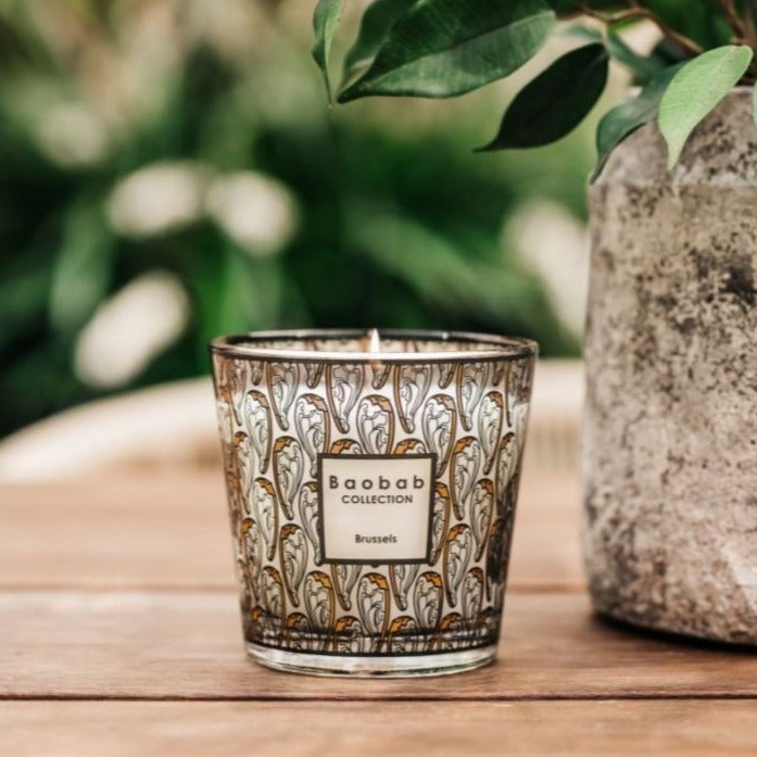 My First Baobab - Brussels