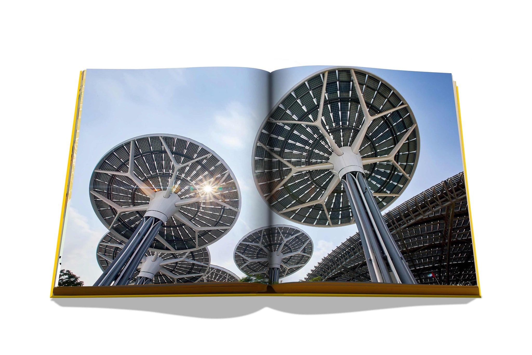 Expo 2020 Dubai: Catalog-Site, Themes, Architecture