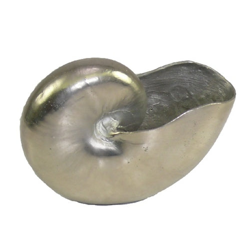 Nautilus Shell Standing