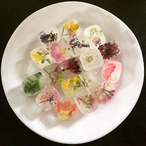 Quotidien White Truffle Dinner Plate - Set of 2