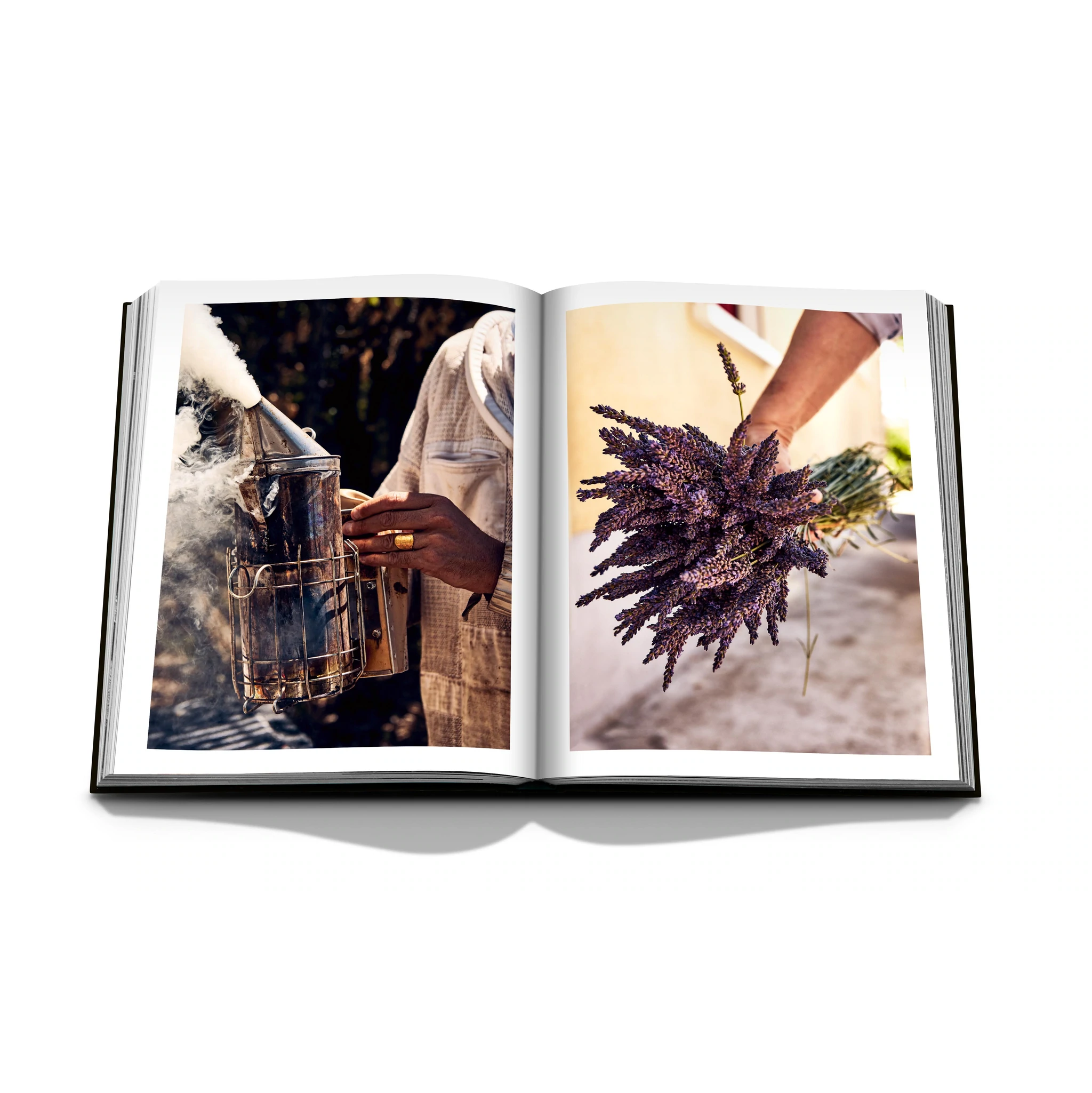 Louis Vuitton Manufactures