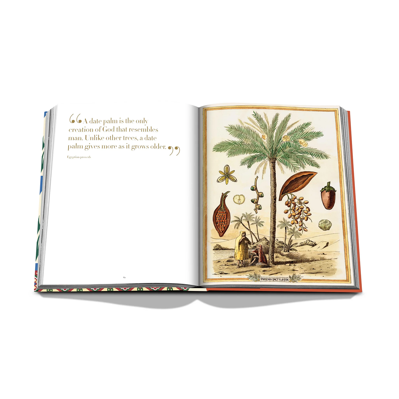 Saudi Dates: A Portrait of the Sacred Fruit