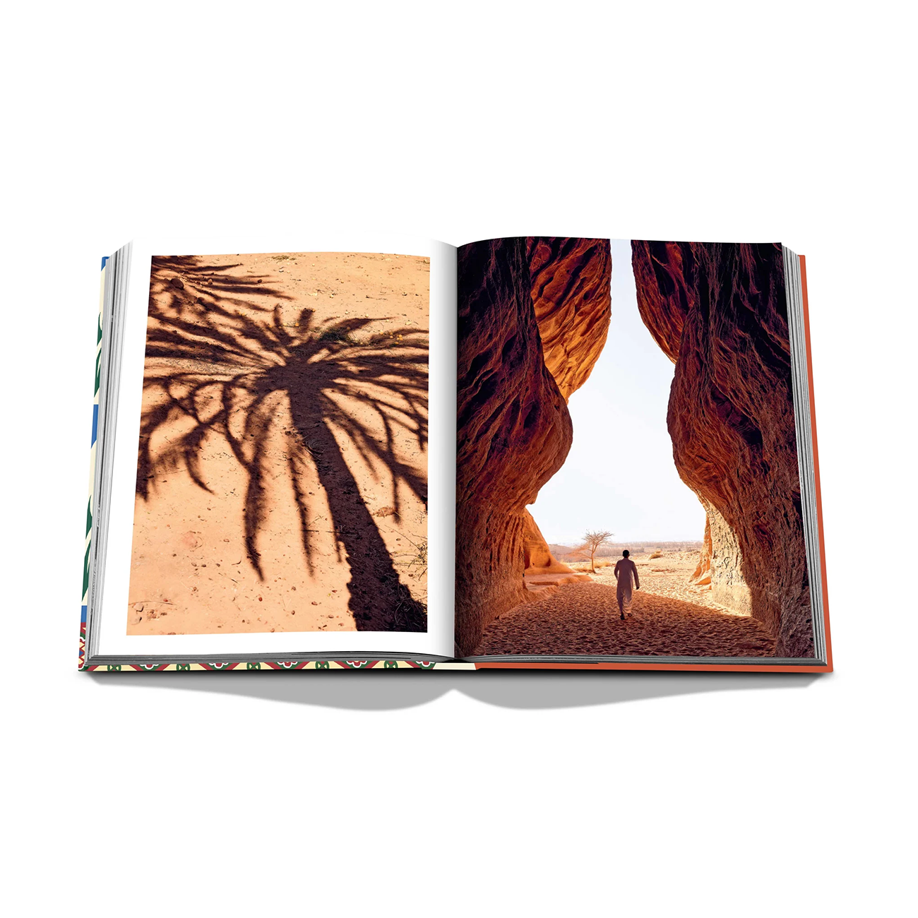 Saudi Dates: A Portrait of the Sacred Fruit