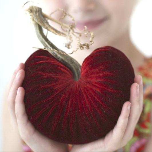 Velvet Magenta Heart Pumpkin
