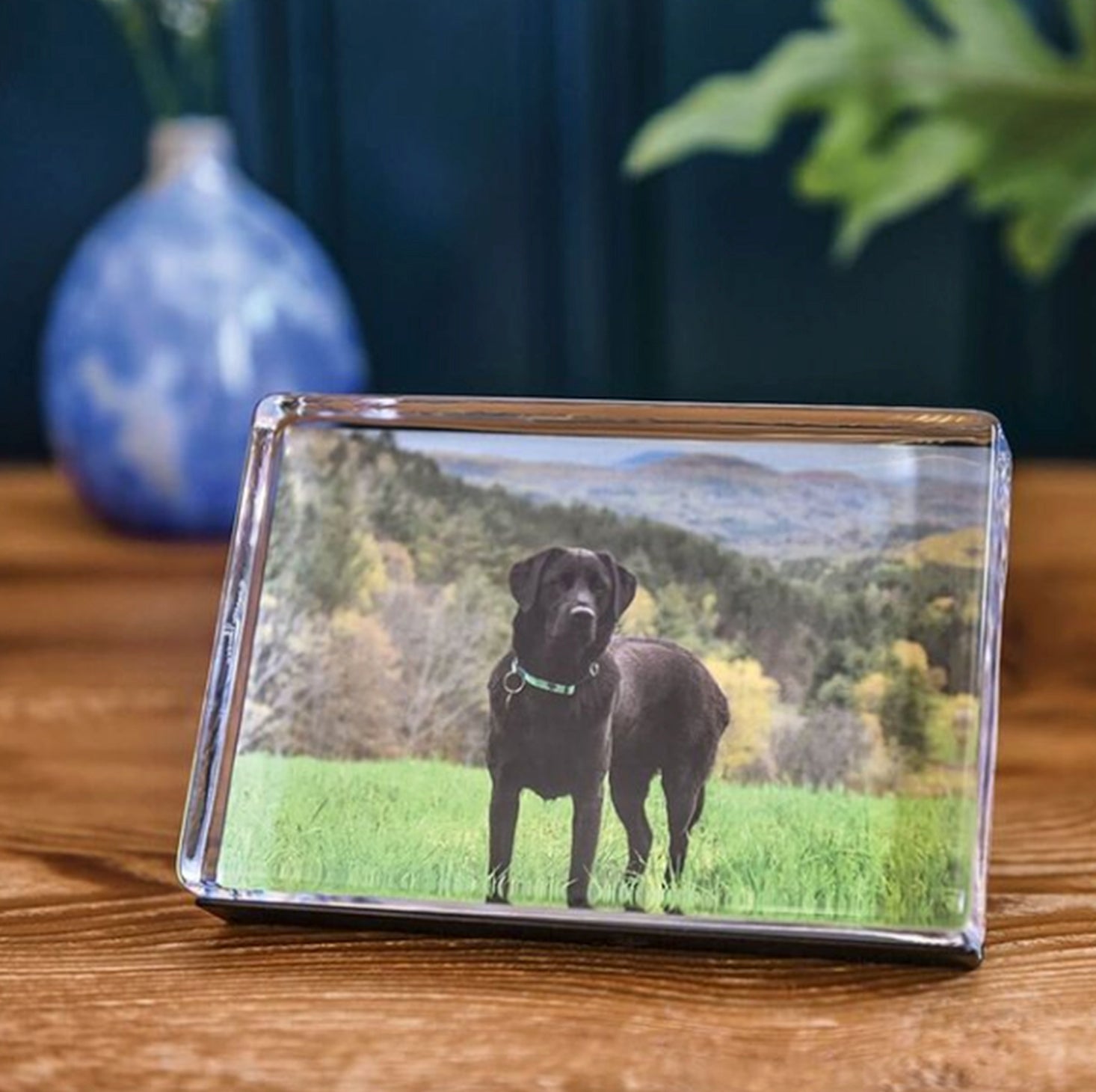 Woodbury Horizontal Photo Block