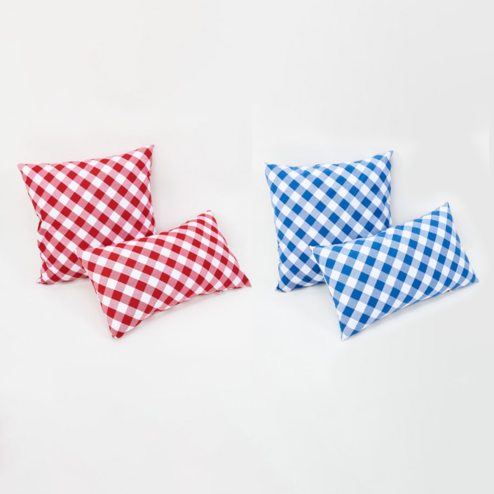 Gingham Pillow - Set of 2