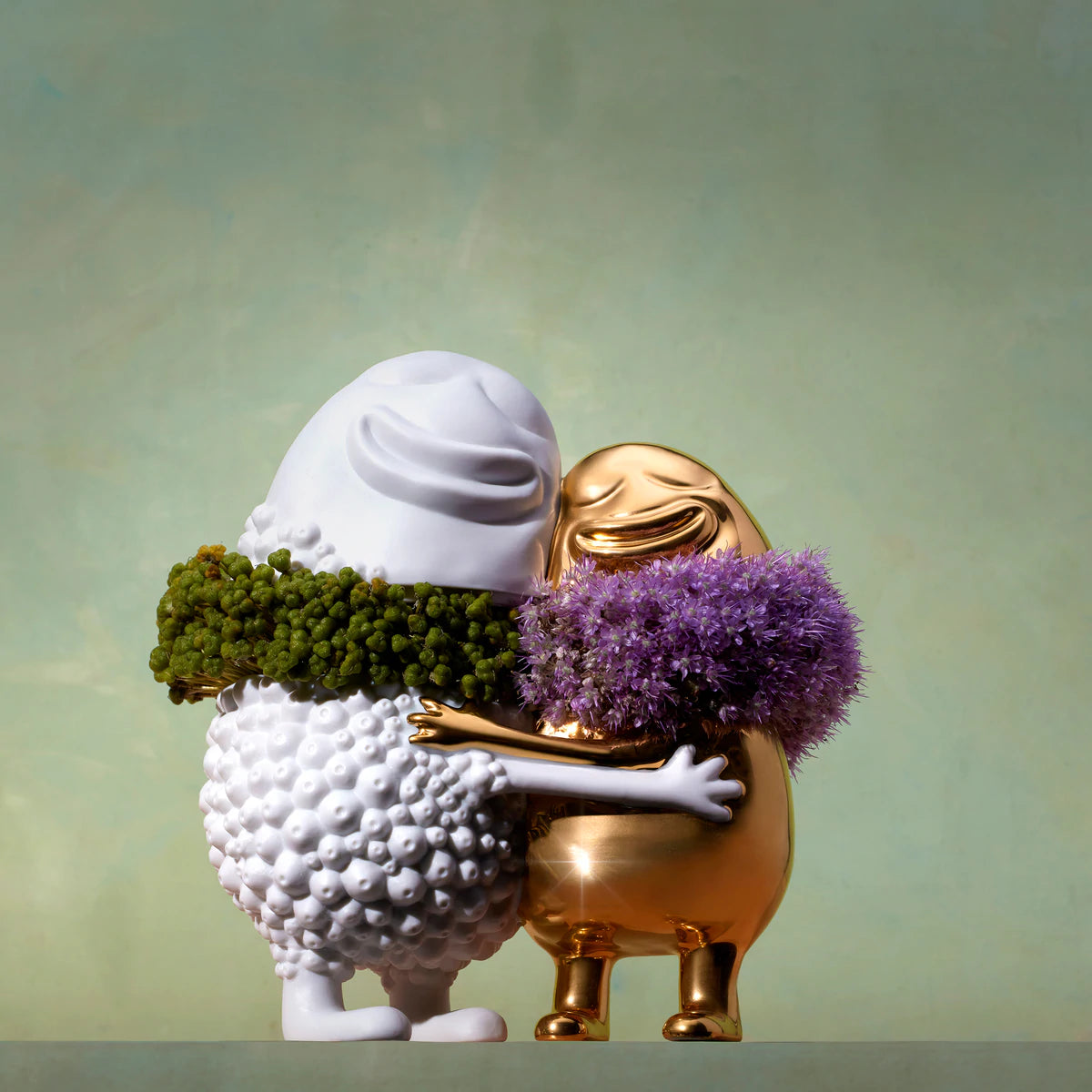 Haas Huggers Box - White