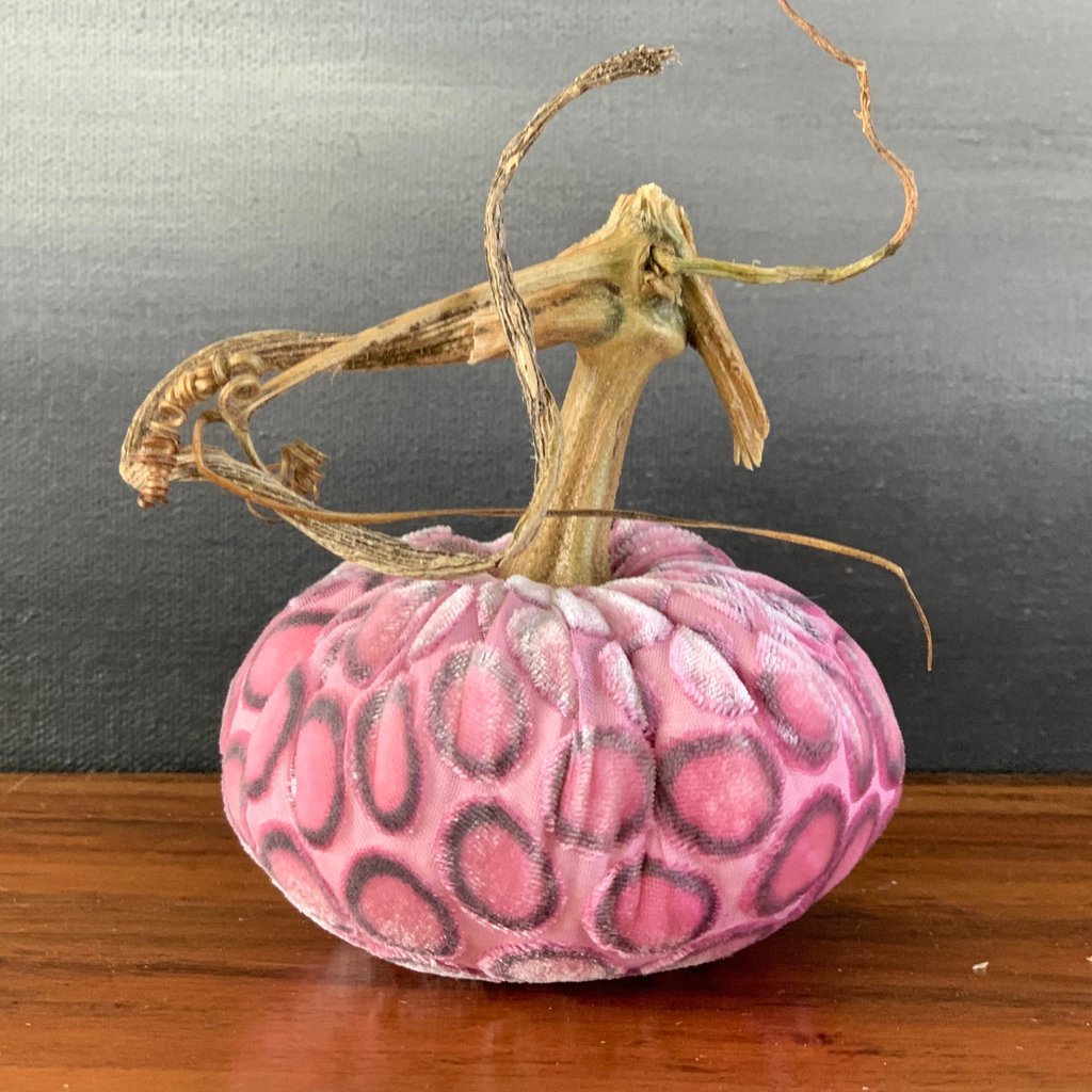 Ko Azalea Dot Pumpkin