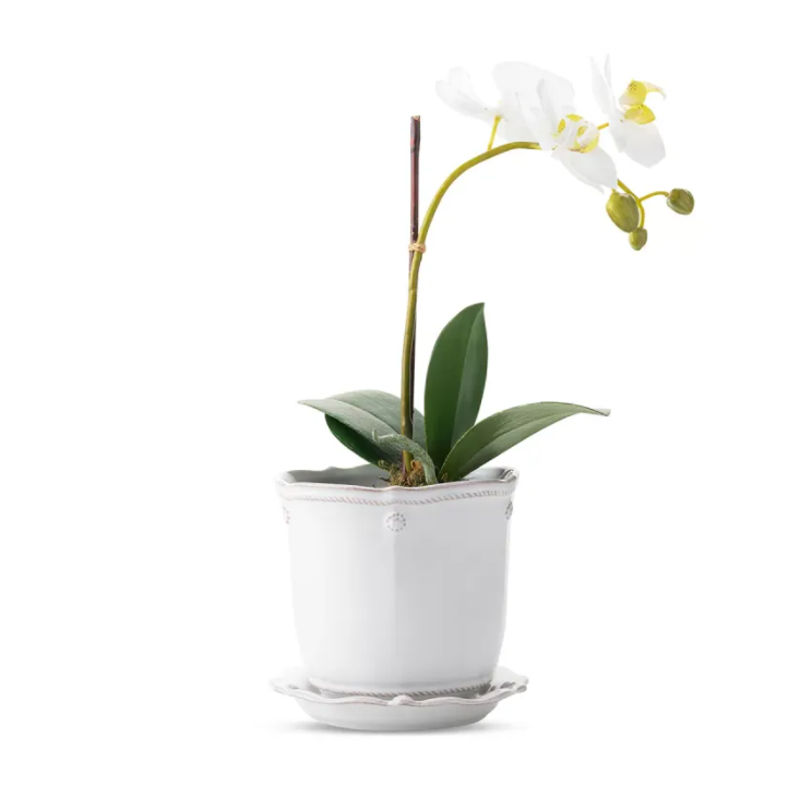 #size_5.25" | Berry & Thread Whitewash Planter & Saucer