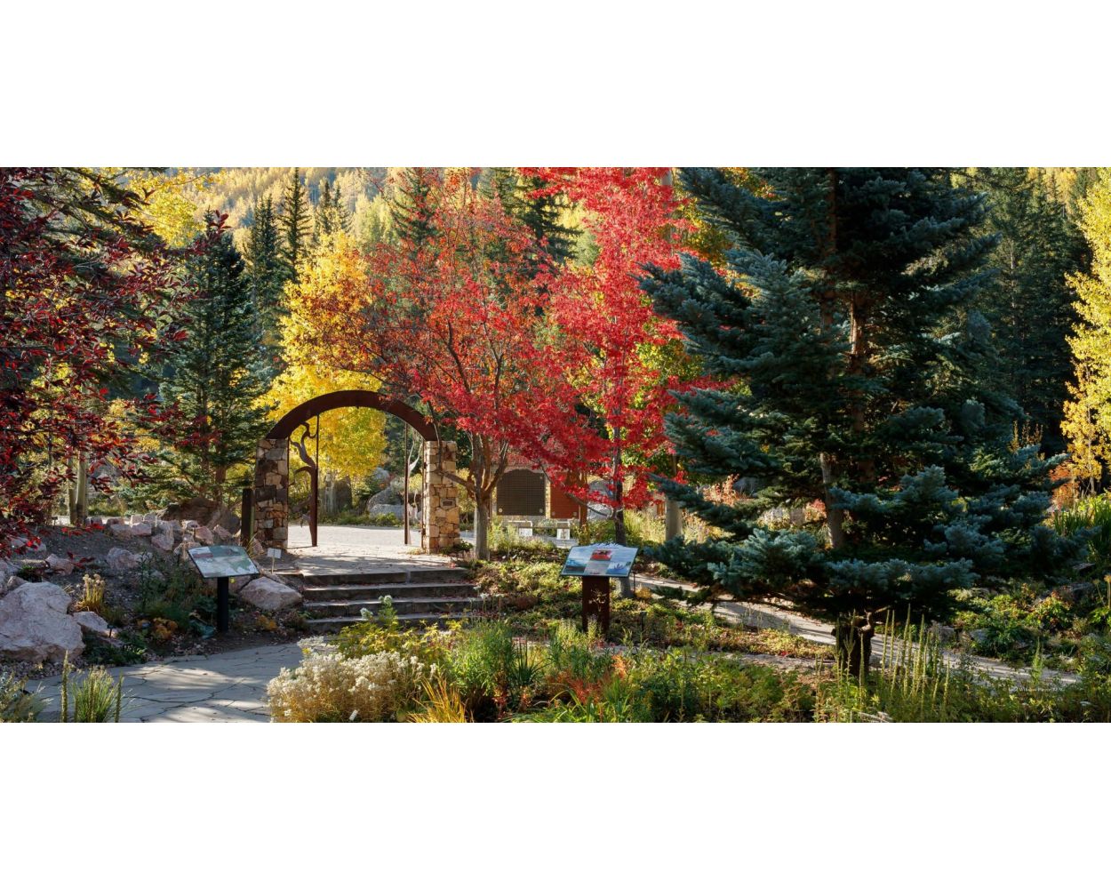 On the Roof of the Rocky Mountains