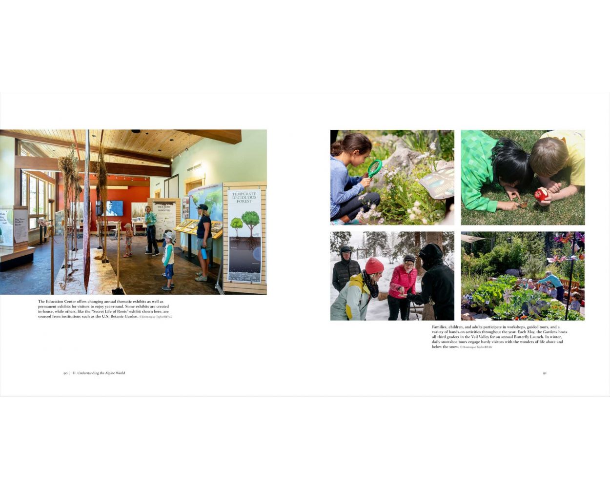 On the Roof of the Rocky Mountains