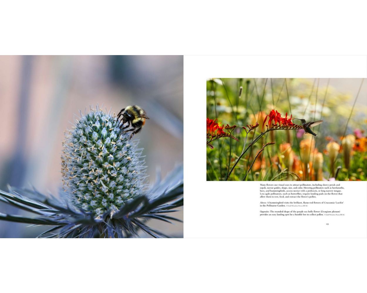 On the Roof of the Rocky Mountains