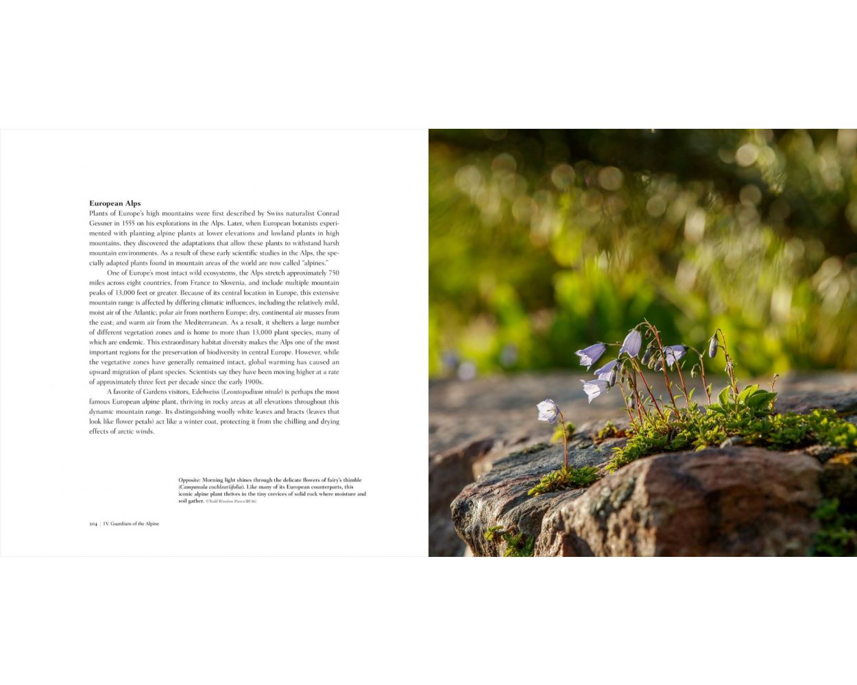 On the Roof of the Rocky Mountains