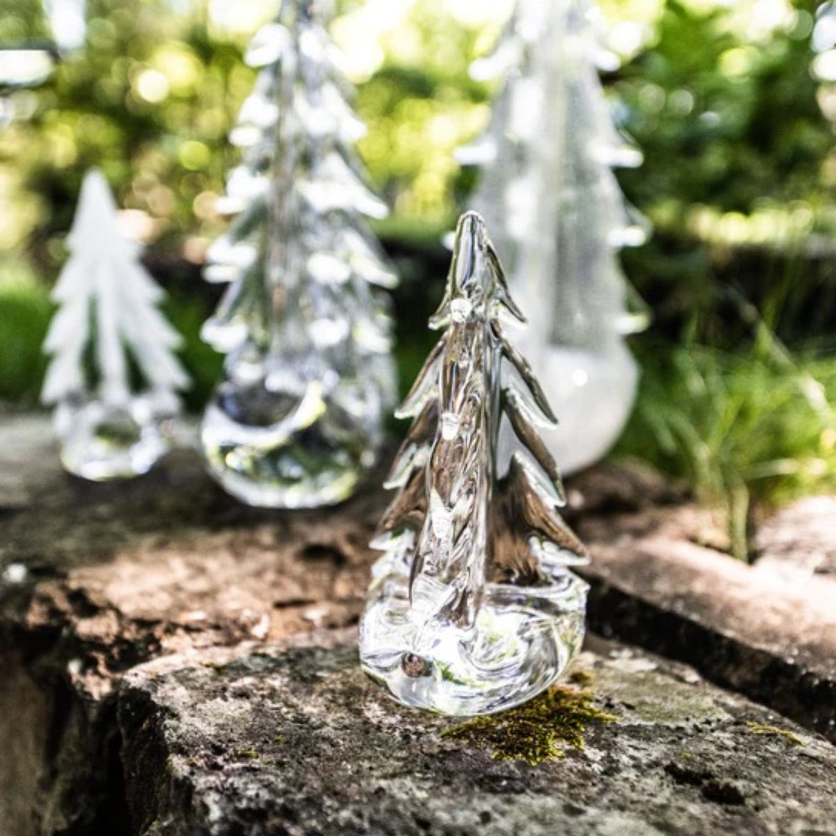 Simon Pearce Glass Trees Simon Pearce Glass Tree Illumination | TikTok