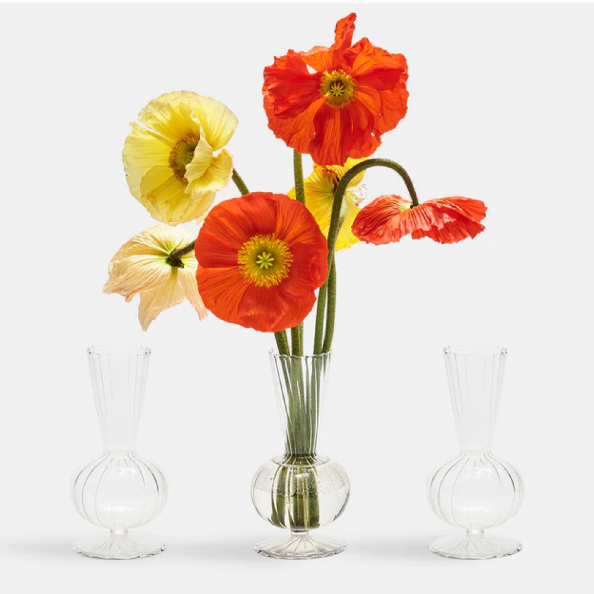 Tess Bud Vase - Set of 3