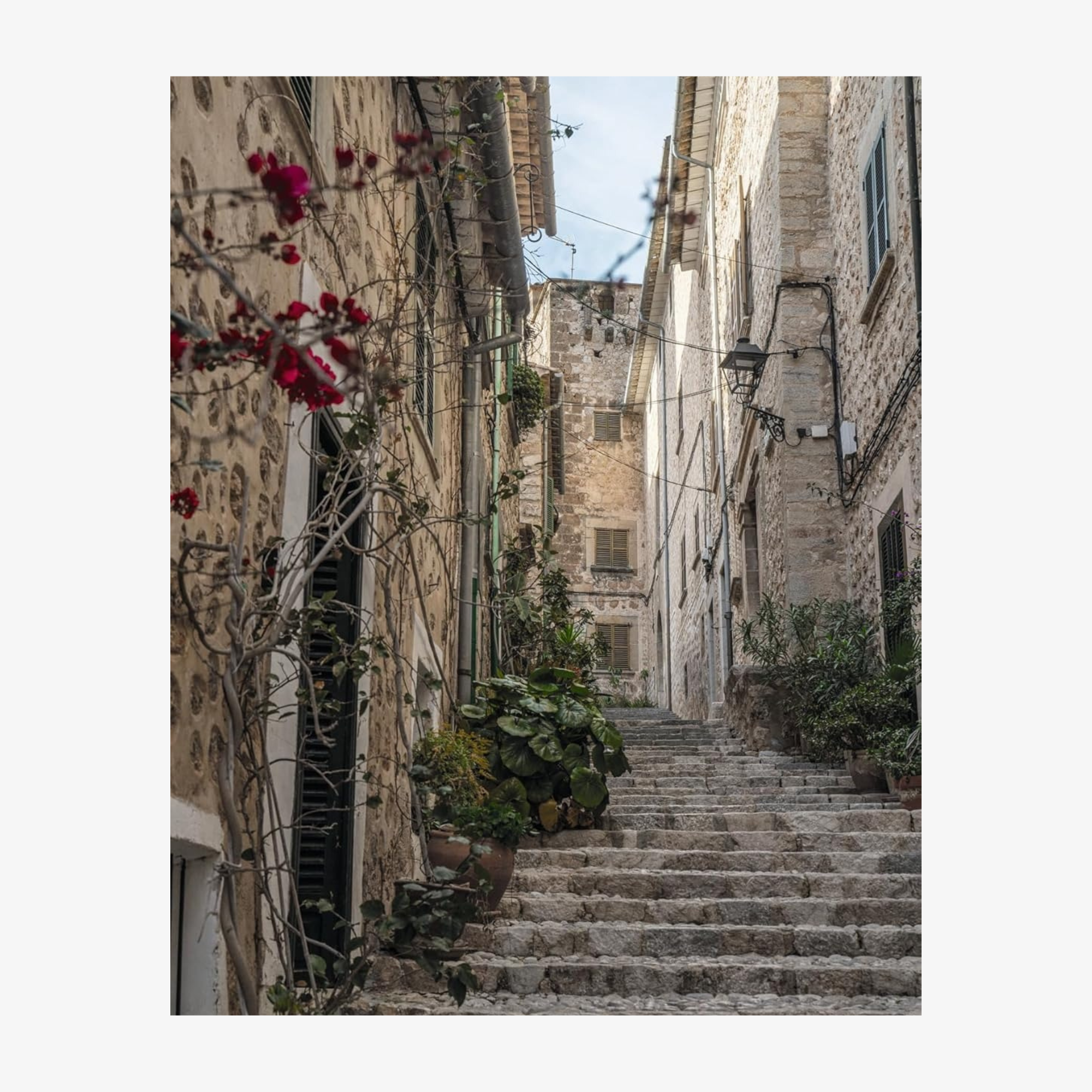 Charming Mallorca