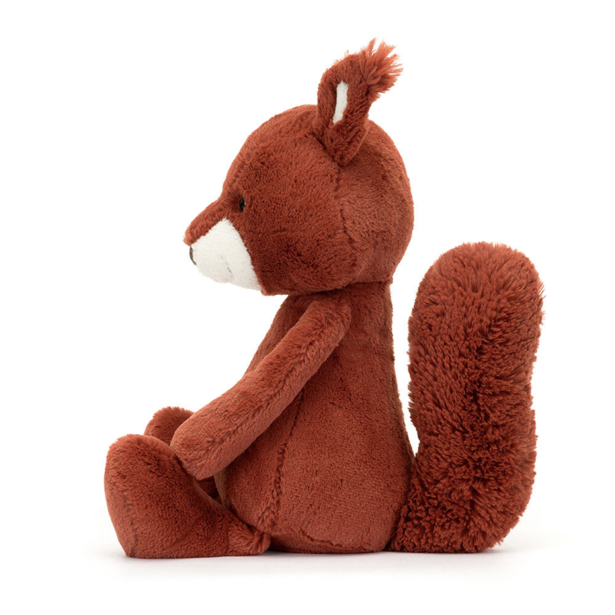 Bashful Squirrel with If I Were a Squirrel Book