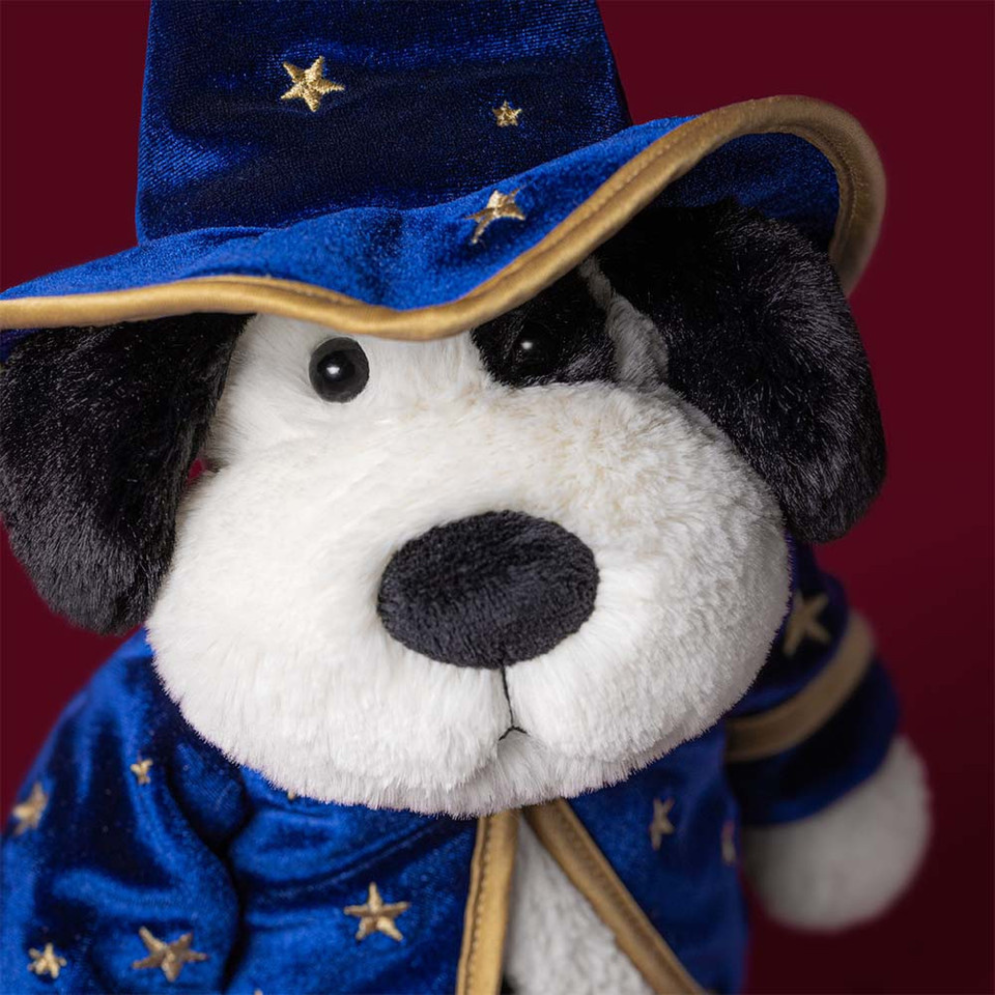 Rufferty Puppy Wizard