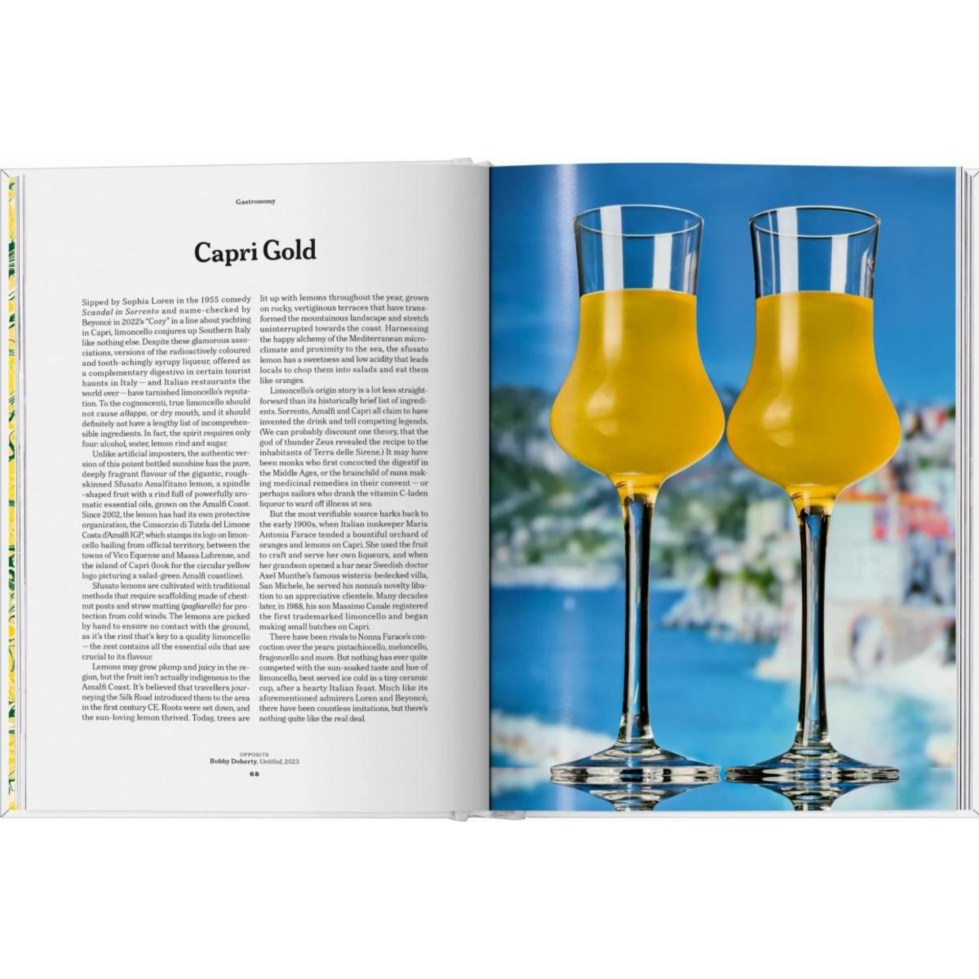 The Gourmand's Lemon. A Collection of Stories and Recipes