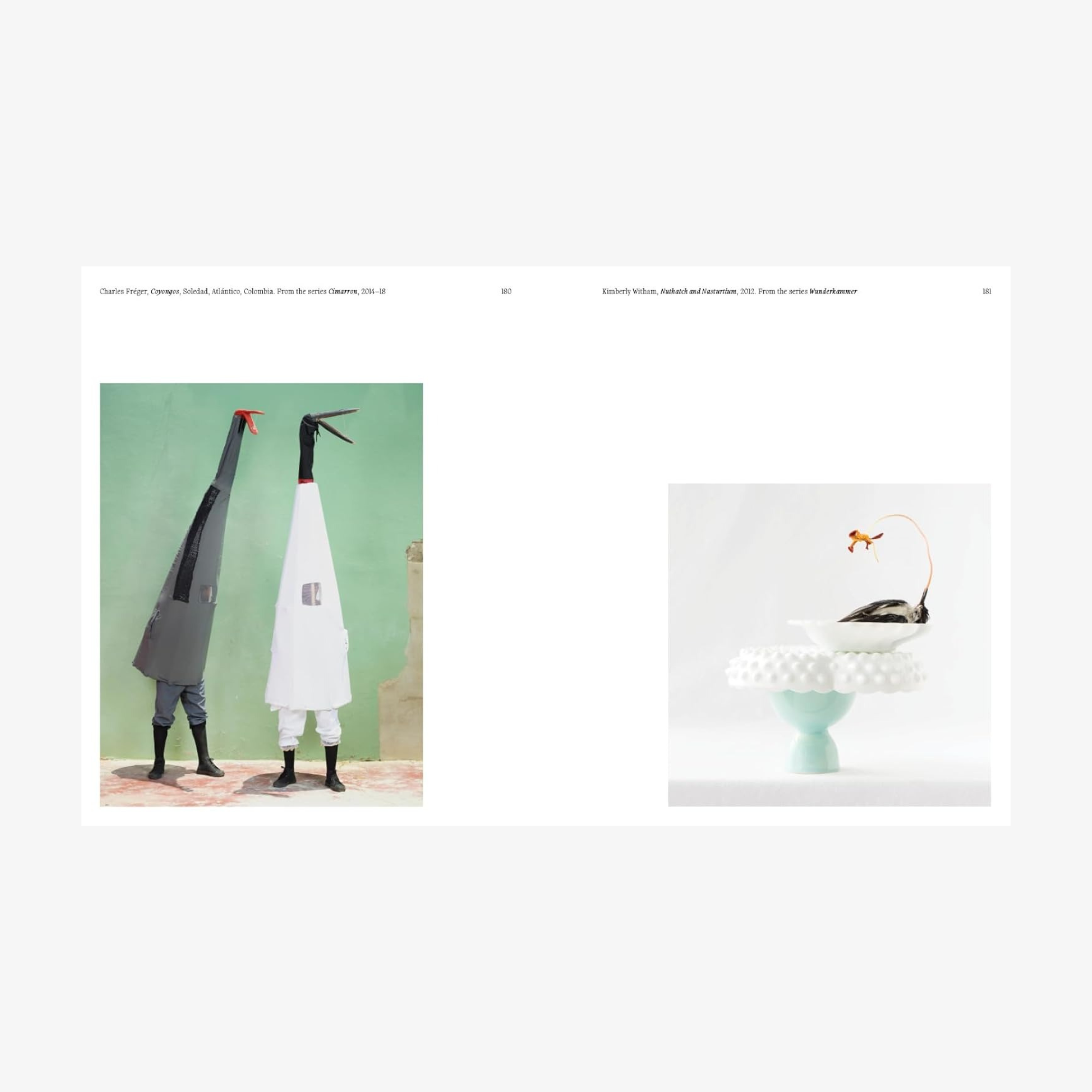 Aviary: The Bird in Contemporary Photography