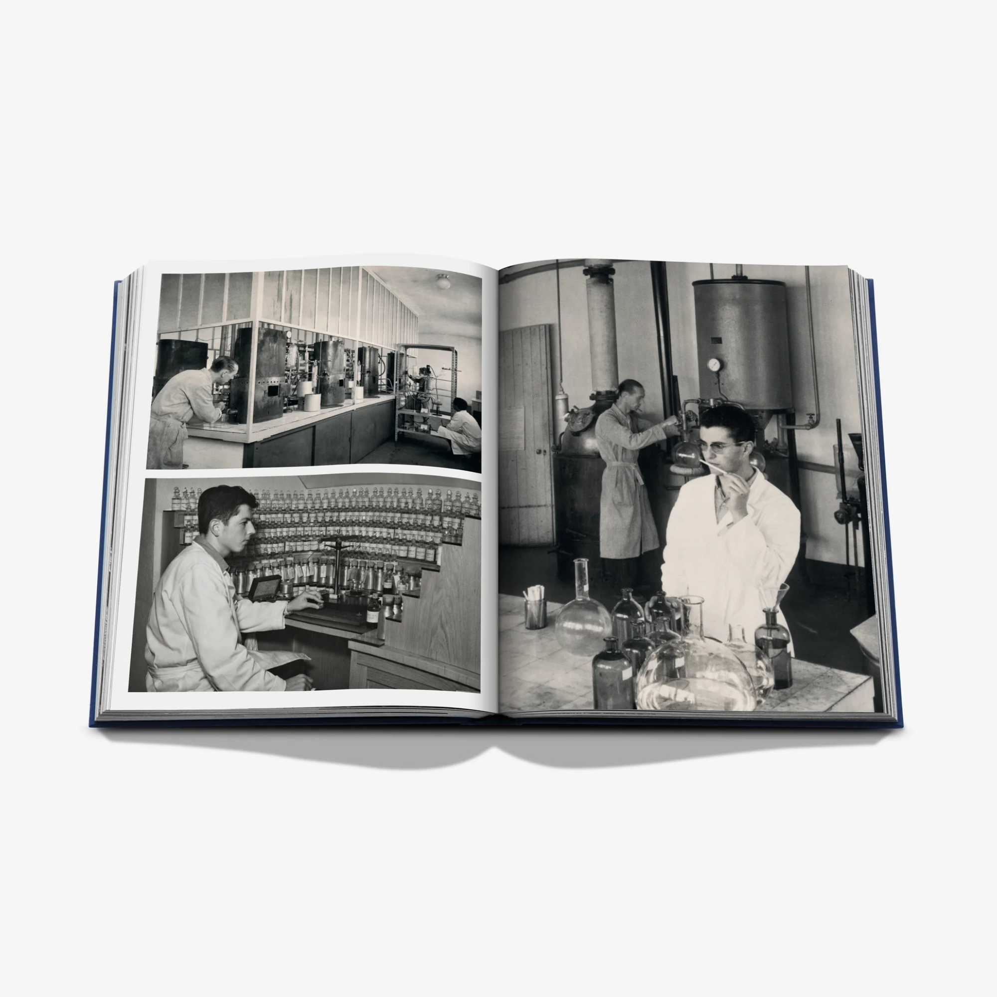 Robertet: From Seed to Scent