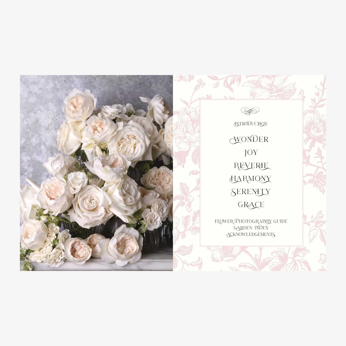 Beautiful Blooms: A Photographic Celebration