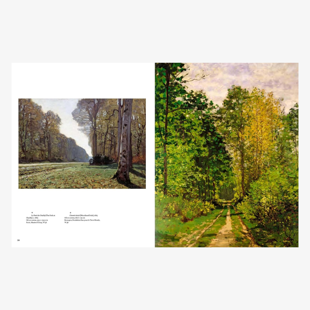 Monet: Beyond the Horizon