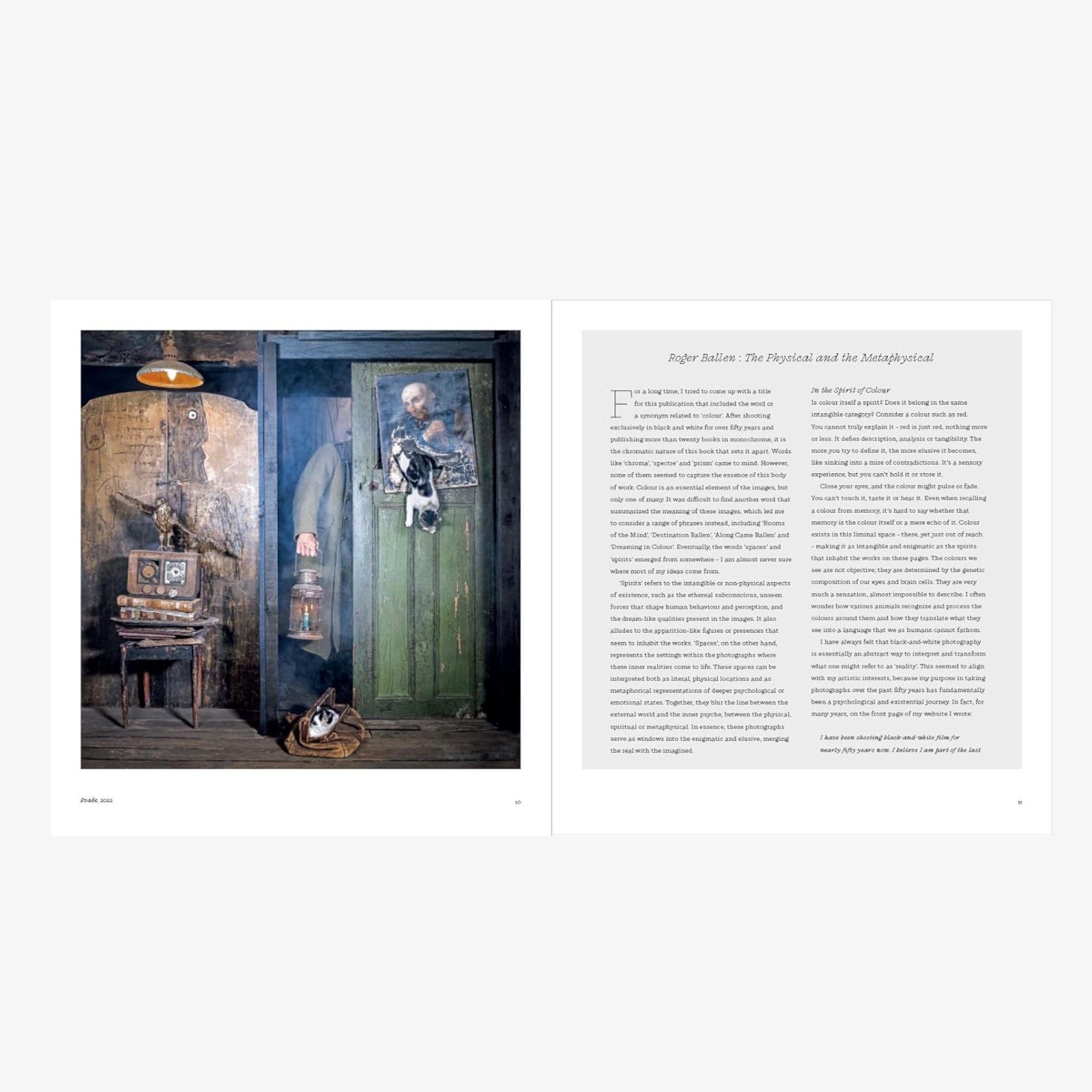 Roger Ballen: Spirits and Spaces