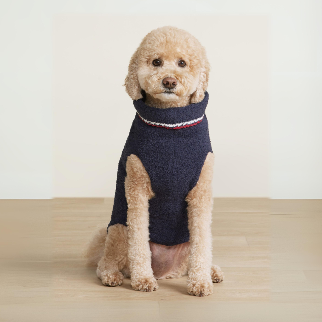 CozyChic Team USA Pet Sweater