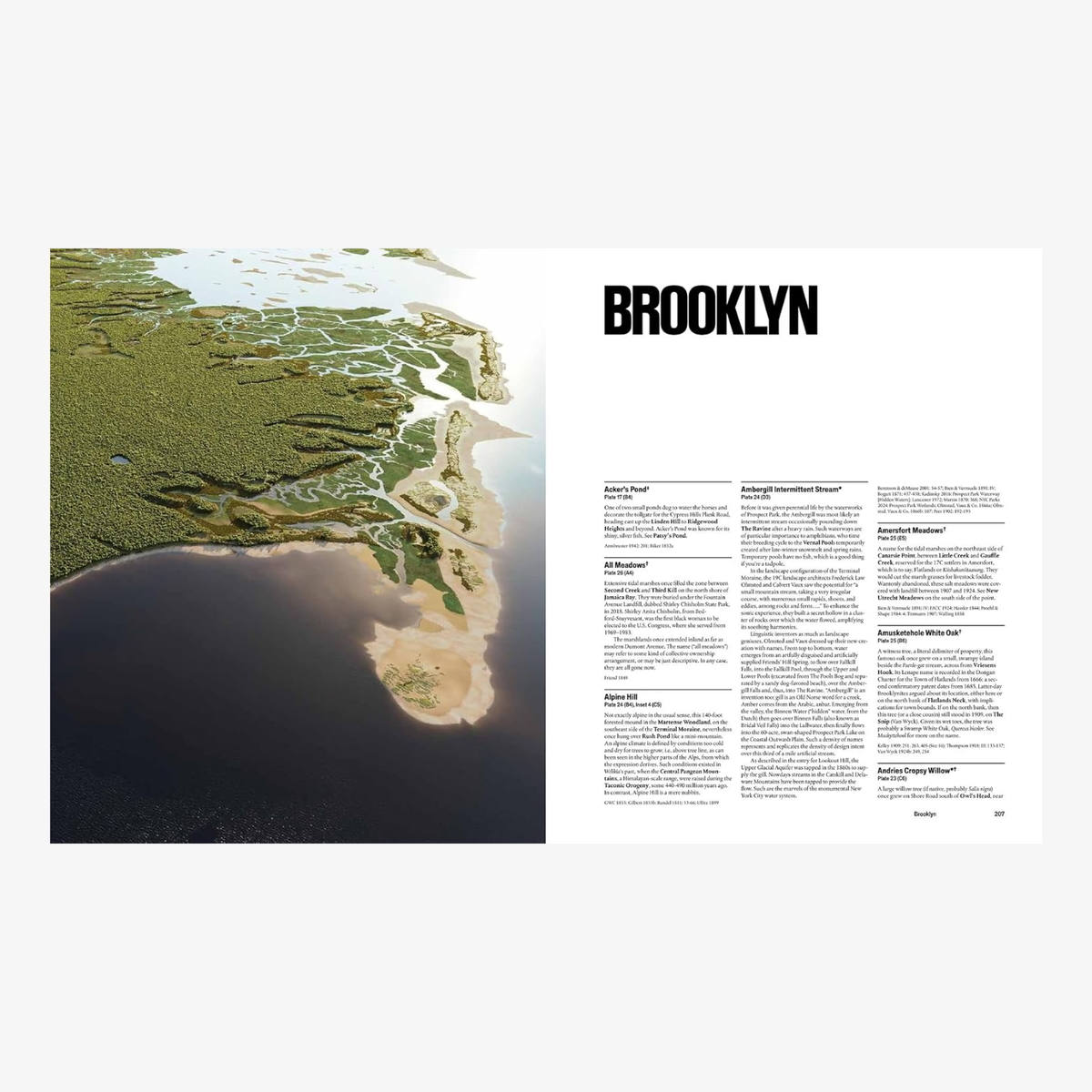 Before New York: The Natural Geography of the City: An Atlas and Gazetteer