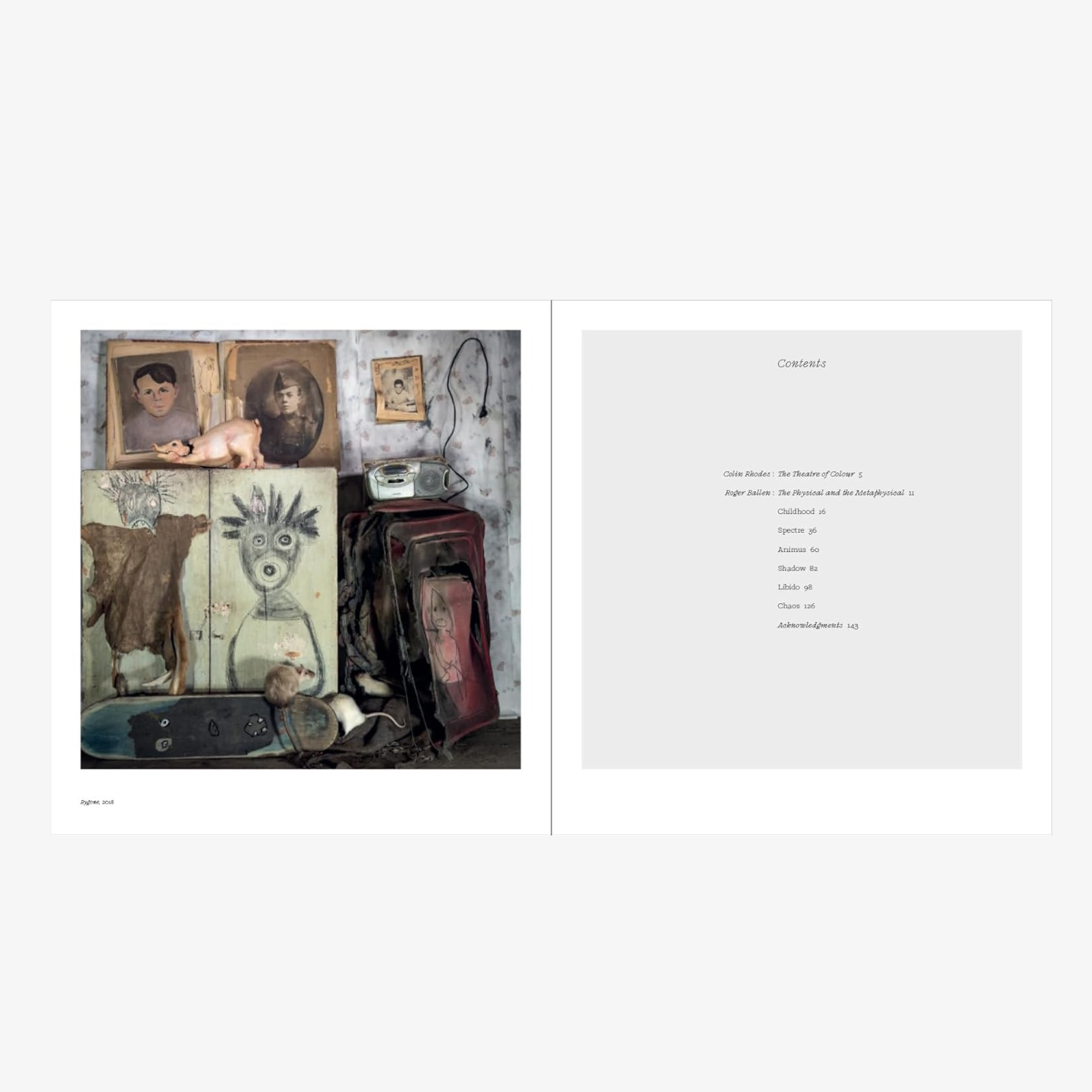 Roger Ballen: Spirits and Spaces