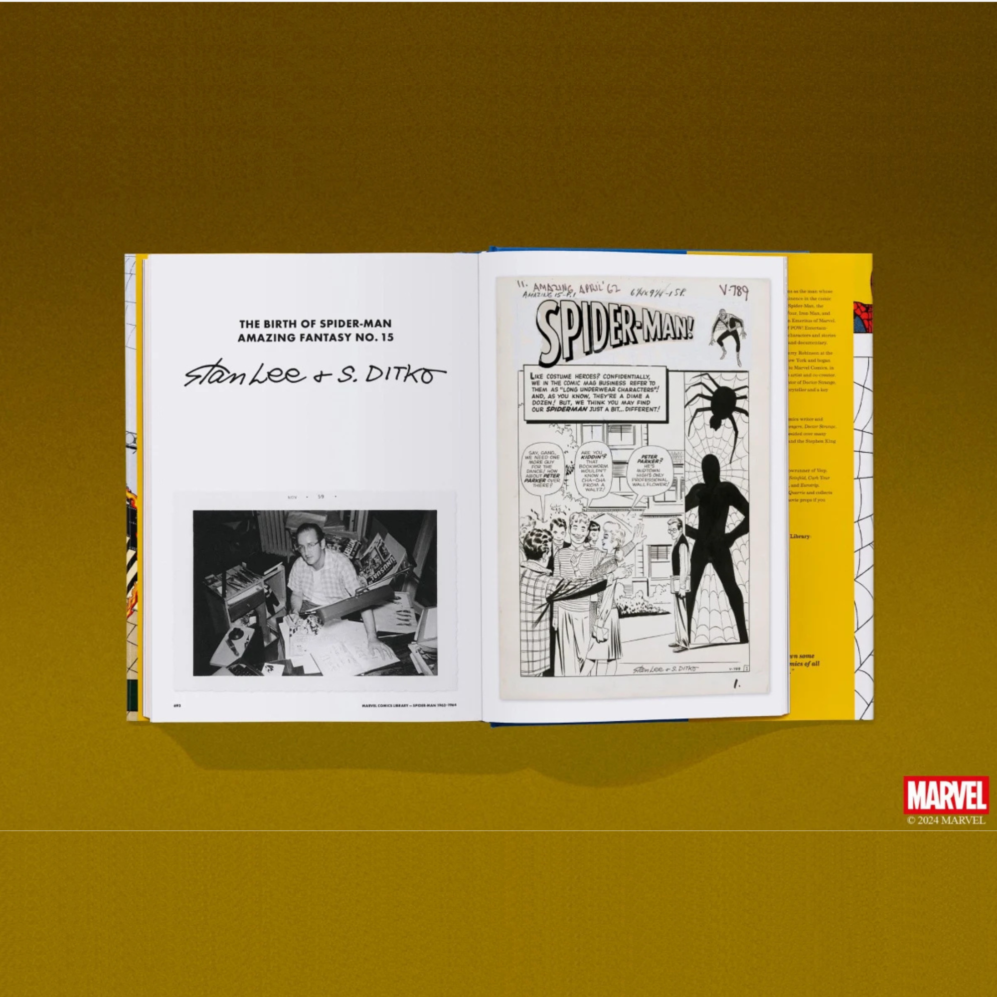 Marvel Comics Library. Spider Man. 1962-1964