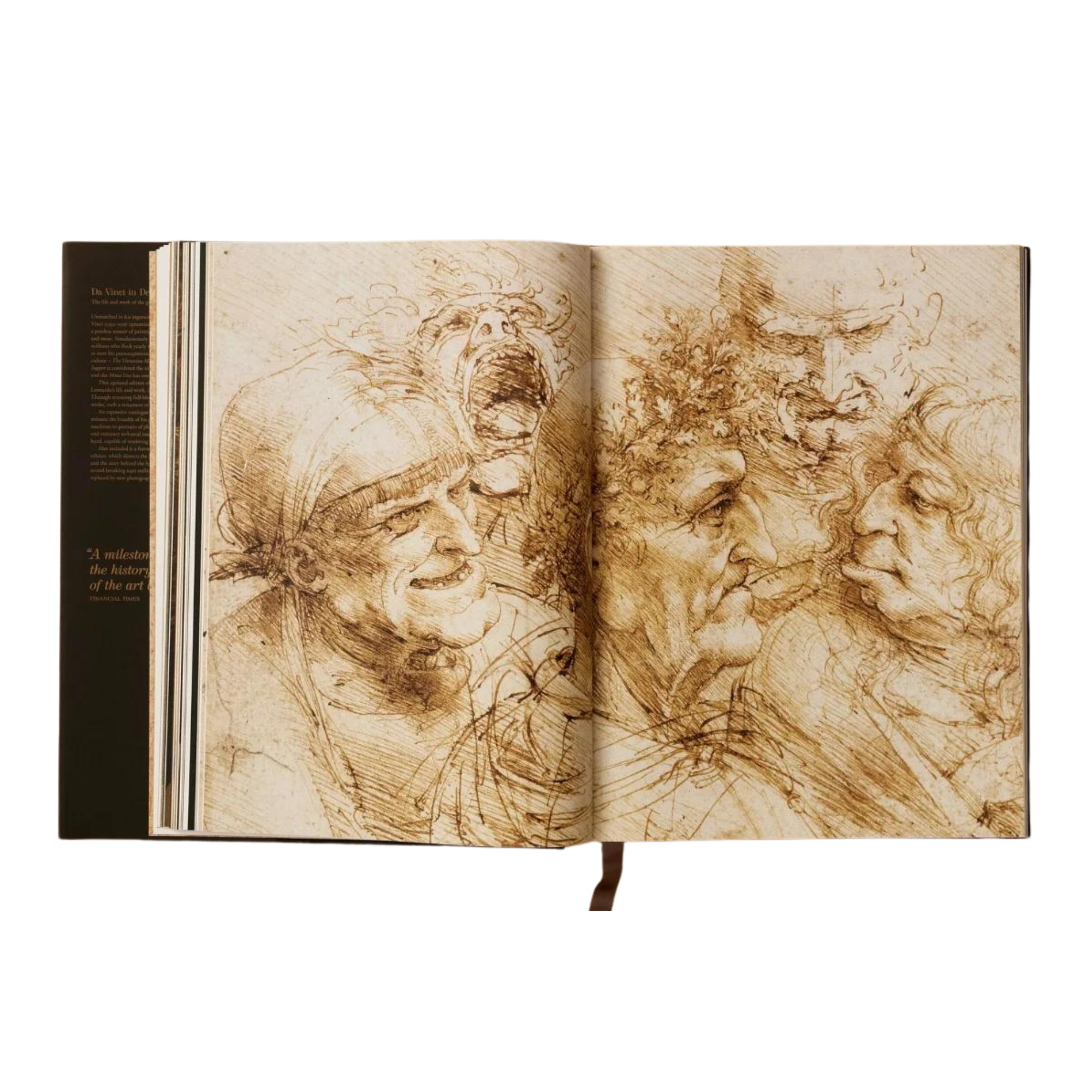 Leonardo.The Complete Paintings and Drawings