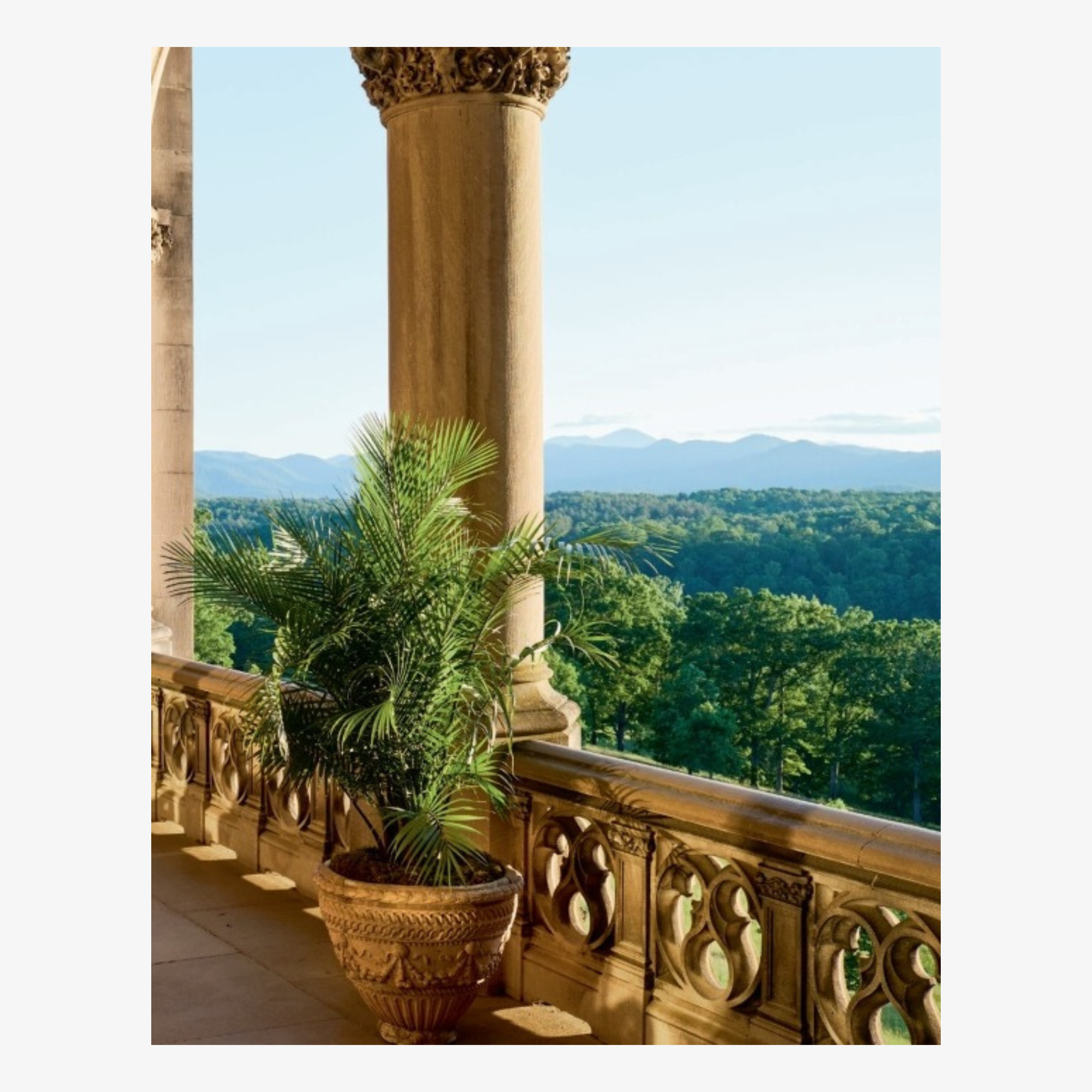 Biltmore House: The Interiors and Collections of George W. Vanderbilt