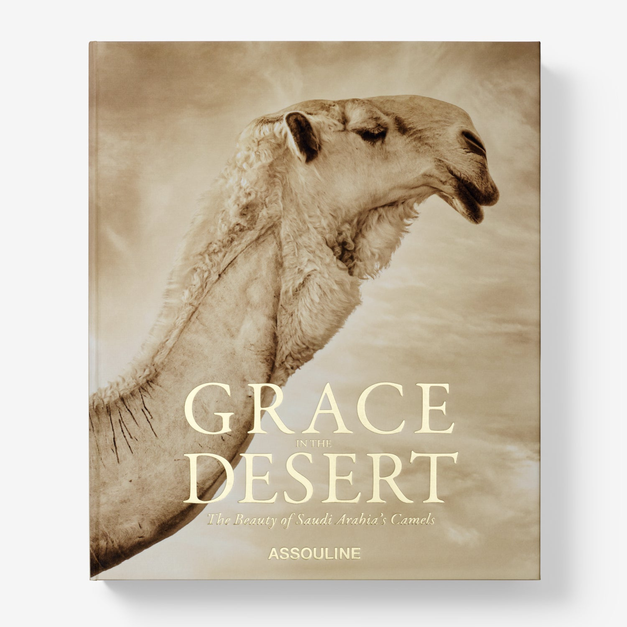 Grace in the Desert: the Beauty of Saudi Arabia's Camels